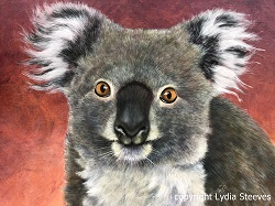 Kimberly Koala Acrylic e-Packet